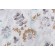 Kelly Ripa Home Light-Hearted Printed Cotton Drapery Fabric in Spa 