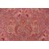 P Kaufmann Riad Paisley Printed Velveteen Decorator Fabric in Fuchsia 
