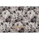 Richloom Elora Printed Cotton Drapery Fabric in Newsprint