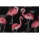 Terrasol-Flamingo Printed Outdoor Fabric in Black 