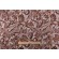 Click for Alisha Printed Velveteen Decorator Fabric in Spice  Alisha Printed Velveteen Decorator Fabric in Spice