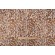 Covington Cheetah Embroidered Drapery Fabric in 618-Safari 