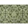 Lacefield Contessa Printed Cotton Drapery Fabric in Olive