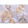 Stof France Quiberon Printed Cotton Drapery Fabric in Moutarde