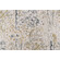 PK Lifestyles Alchemy Printed Decorator Fabric in Autumn 