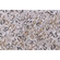 Magnolia Home Teddington Printed Cotton Drapery Fabric in Camel 
