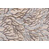 Coral Reef Tapestry Upholstery Fabric in River