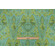 Click for 0.75 Yards Tula Pink ROAR! Collection Gift Rapt Printed Cotton Craft Fabric in Lime for Free Spirit Tula Pink ROAR! Collection Gift Rapt Printed Cotton Craft Fabric in Lime for Free Spirit