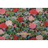 Click for 3.88 Yards PK Lifestyles Blossom Printed Polyester Outdoor Fabric in Lava PK Lifestyles Blossom Printed Polyester Outdoor Fabric in Lava
