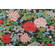 Click for 3.88 Yards PK Lifestyles Blossom Printed Polyester Outdoor Fabric in Lava PK Lifestyles Blossom Printed Polyester Outdoor Fabric in Lava