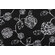 Magnolia Home Melbourne Printed Polyester Outdoor Fabric in Black