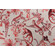 Active Whimsy Printed Polyester Drapery Fabric in Ruby