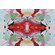Hamilton Greta Printed Cotton Drapery Fabric in Raspberry 