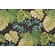 Sample of Richloom Solarium Tropique Printed Polyester Outdoor Fabric in Peridot 