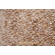 TFA Savage Beauty Latex Backed Velvet Upholstery Fabric in Wheat 