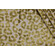 TFA Fat Cat Latex Backed Velvet Upholstery Fabric in Lime 