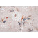 Swavelle/Mill Creek Rosella-Petro Printed Cotton Drapery Fabric in Amber 