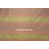 Scalamandre Sunburst Woven Decorator Fabric in Olive/Rust