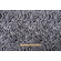 Golding Tigress Woven Chenille Upholstery Fabric in Coal
