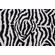 Sunbrella Zebra II Woven Solution Dyed Acrylic Outdoor Fabric in Midnight