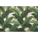 Tommy Bahama Swaying Palms Printed Polyester Outdoor Fabric in Aloe