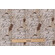 Tim Holtz Laboratory - Formula Printed Cotton Craft Fabric in Neutral for Free Spirit