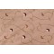 Robert Allen Addison Flora Embroidered Polyester Drapery Fabric in Birch 