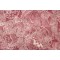 Kaufmann Temple Lion Printed Cotton Drapery Fabric in Claret 