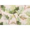 Hamilton Newton Printed Cotton Drapery Fabric in Ivory 