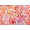 Terrasol - Living Coral Printed Acrylic Outdoor Fabric in Sunset 