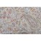 Grey Watkins Crayola Paisley Printed Linen Drapery Fabric in Taupe/Multi