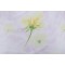 Scalamandre Instant Diaphane Printed Cotton Drapery Fabric in Jaune
