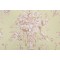 Thibaut Robin F91321 Printed Cotton Drapery Fabric in Green 