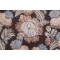 PK Lifestyles Balinese Garden Printed Drapery Fabric in Caviar 