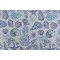 Golding What The Shell Woven Polyester Outdoor Fabric in Denim 