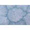 Magnolia Home Ariel Printed Cotton Drapery Fabric in Ocean 