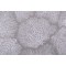 Magnolia Home Ariel Printed Cotton Drapery Fabric in Driftwood 