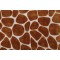 P Kaufmann Kalani Velvet Upholstery Fabric in Amber 