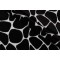 P Kaufmann Kalani Velvet Upholstery Fabric in Onyx 