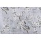 Swavelle/Mill Creek Kanami-Pierside Printed Polyester Drapery Fabric in Earl Grey 