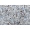 Mill Creek Vanden-Riverpark Printed Cotton Drapery Fabric in Frost 