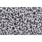 Hamilton Lucille Velvet Upholstery Fabric in Lapis 