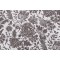 Duralee Ananya Printed Drapery Fabric in Charcoal