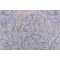 Kaufmann Spanish Flair Printed Cotton Drapery Fabric in Geyser
