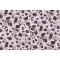 Kelly Ripa Chit Chat Printed Cotton Drapery Fabric in Shell