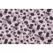 Kelly Ripa Chit Chat Printed Cotton Drapery Fabric in Shell