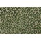 Hamilton Baxley Velvet Upholstery Fabric in Evergreen 