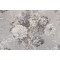 Waverly Ballad Bouquet Printed Linen Blend Drapery Fabric in Platinum