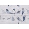 TFA Flying Colors Embroidered Drapery Fabric in Blue Jay 