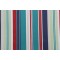 Bryant Fabrics Hudson Stripe Printed Polyester Outdoor Fabric in Imperial 